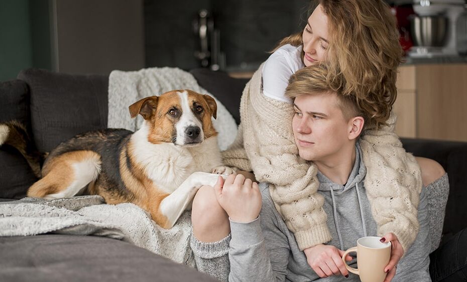 Psychosocial Benefits of Interacting with Pets